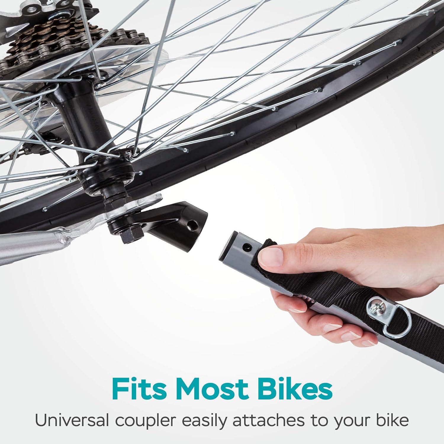 Exploring the Sync and Take 2 Bike Trailer: our Family Ride Review